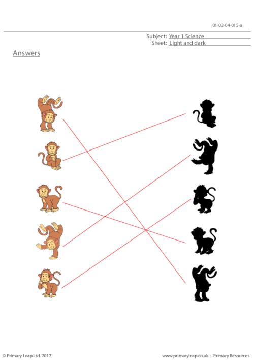 Shadow Matching (Monkeys)