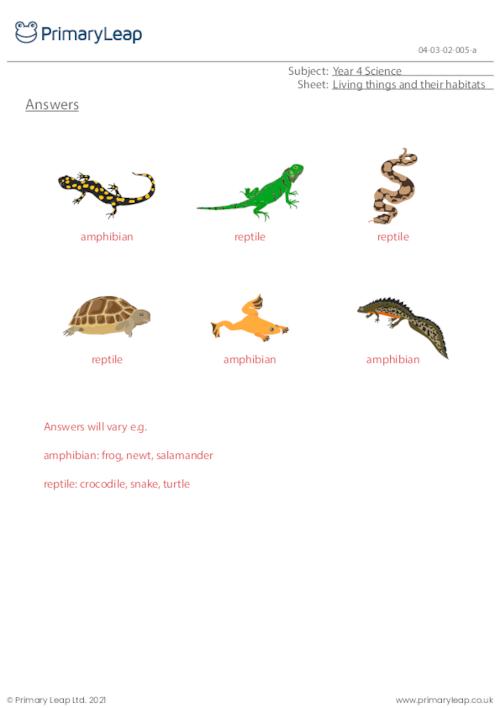 Science: Animal Groups 3 | Worksheet | PrimaryLeap.co.uk