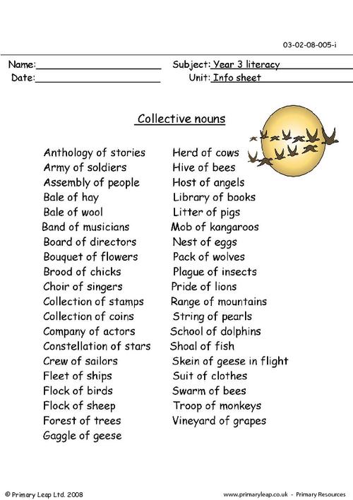 Literacy Collective Nouns Worksheet PrimaryLeap co uk