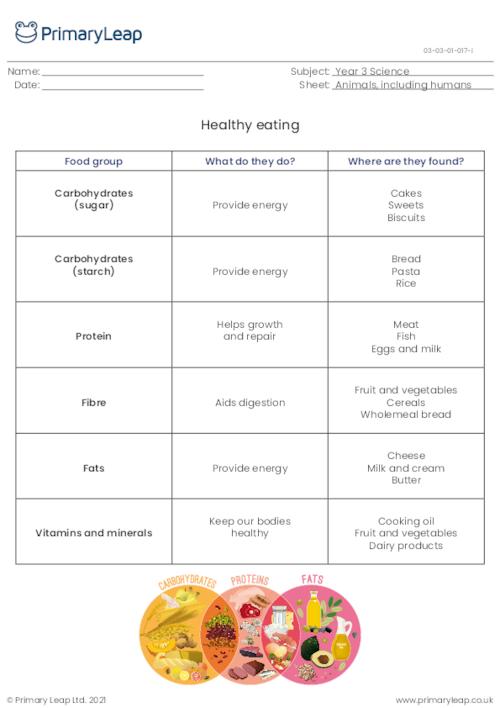 Science Healthy Meal Worksheet Primaryleap Co Uk