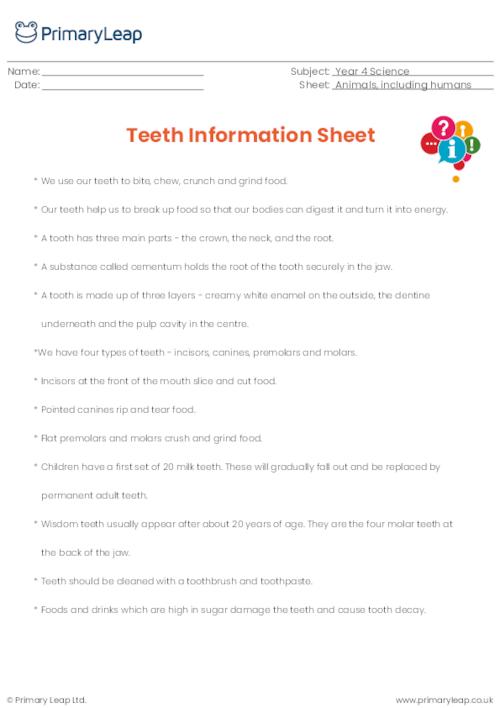 Teeth - Fact sheet