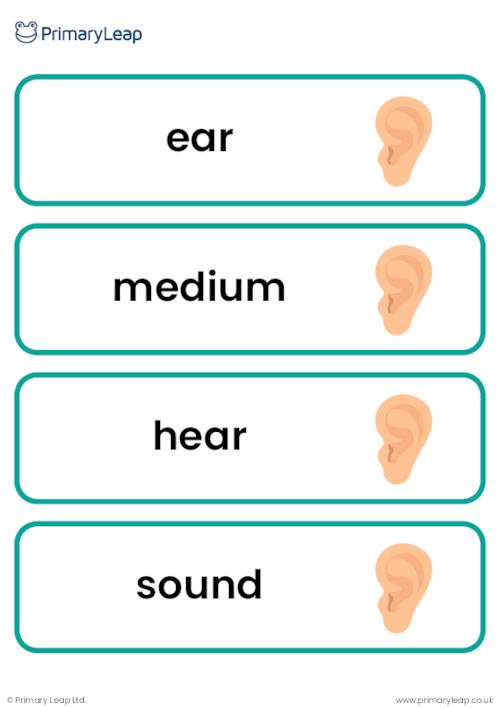 Sound vocabulary cards