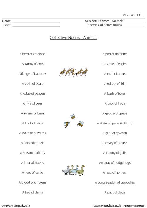 Collective Nouns - Animals