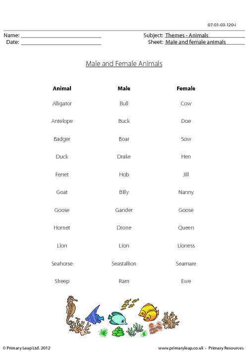 Science: Male and female animals | Worksheet 