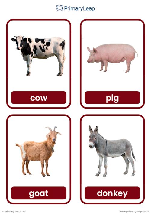 Farm Animal Flashcards real Images 