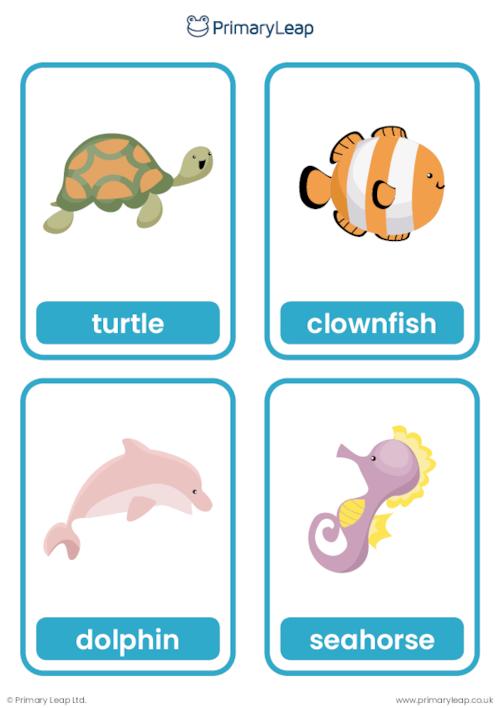 Sea animal flashcards