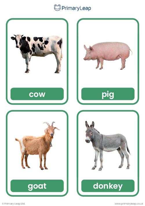 Farm Animals ESL Learning Cards