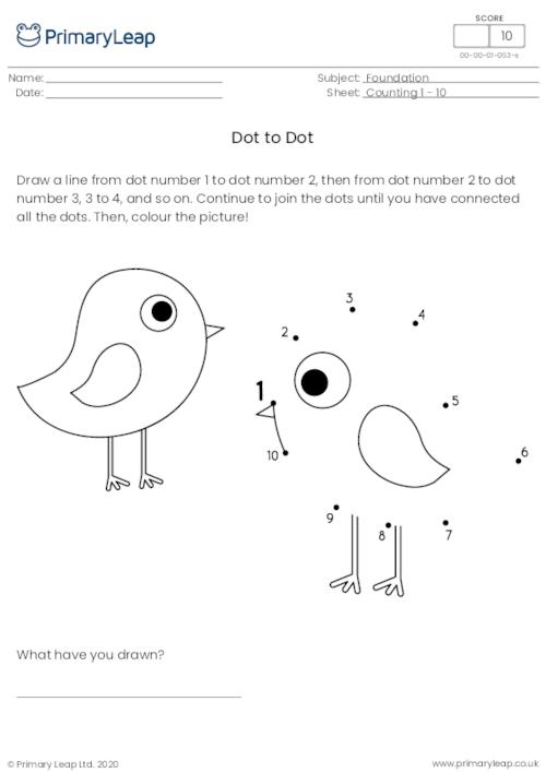 Birds Connect the dots