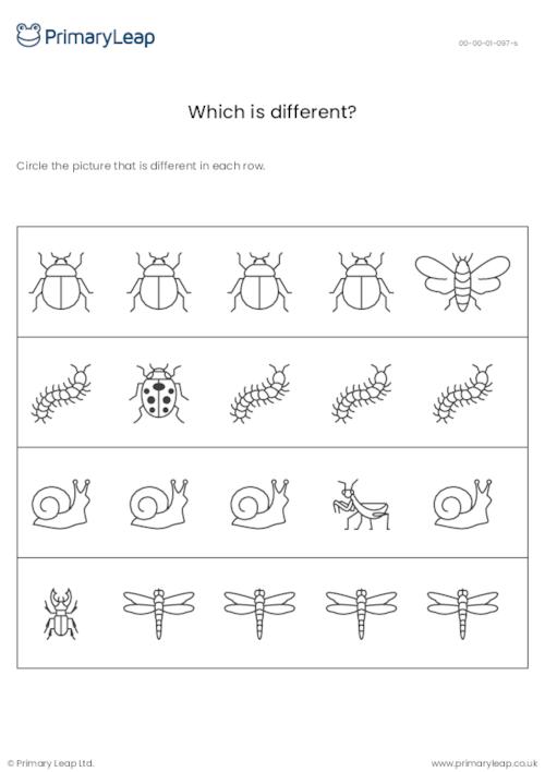 Which picture is different? Insect-themed activity