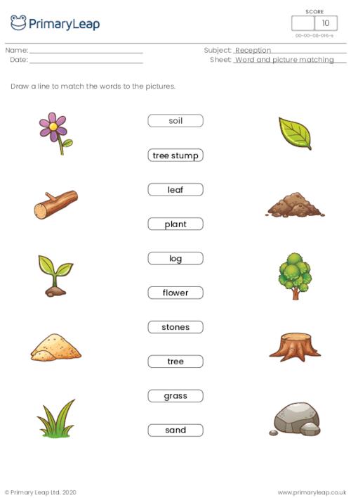 Word and picture matching - Nature