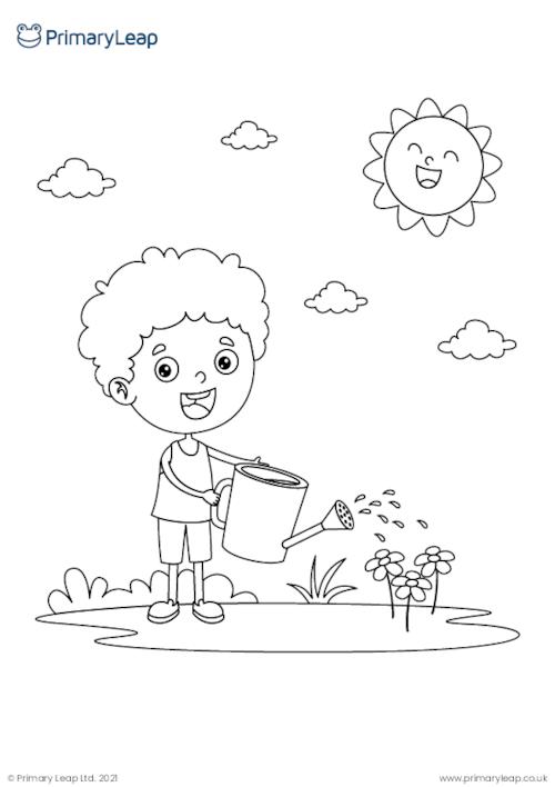 Watering flowers colouring page