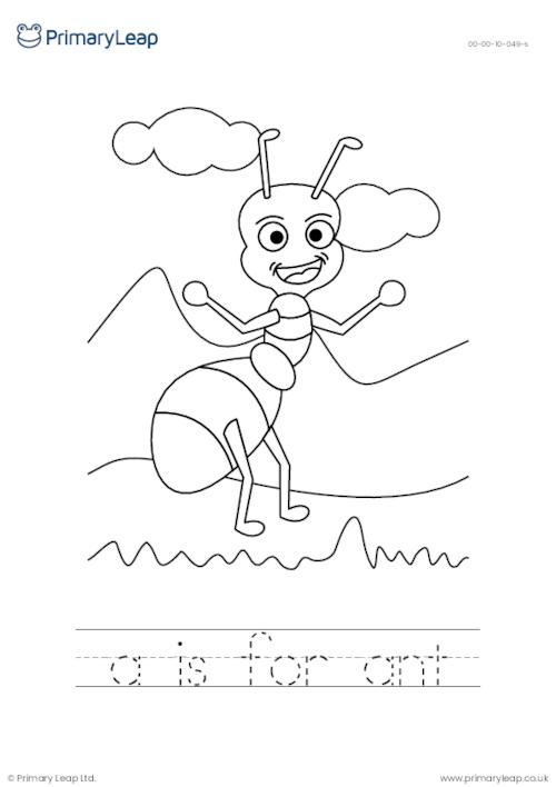Colour the picture and trace the letters - Ant