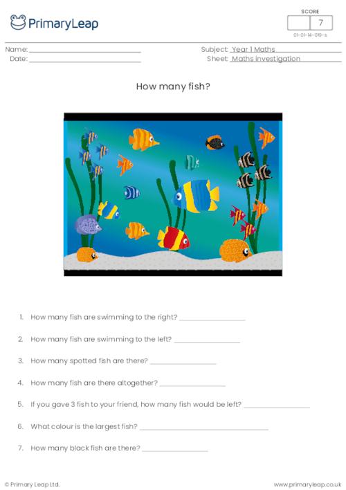 Maths investigation - How many fish?
