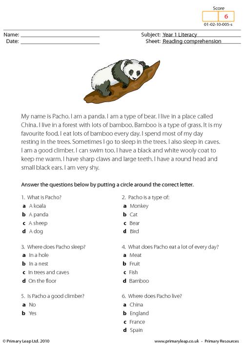 Reading comprehension - I am a panda