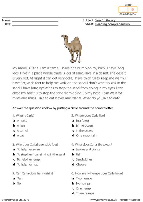 Reading comprehension - I am a camel