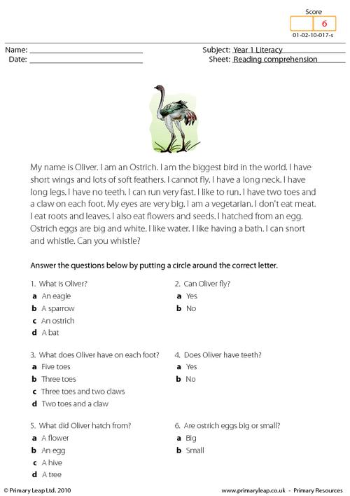 Reading comprehension - I am an ostrich