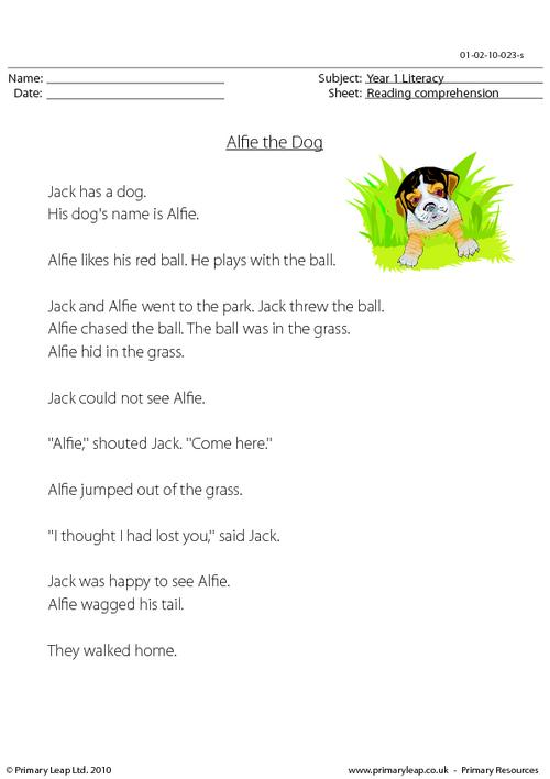 Reading comprehension - Alfie the Dog