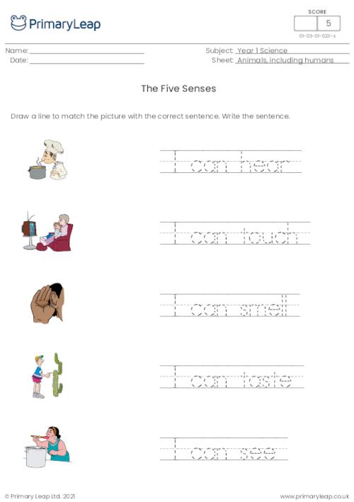 The five senses - matching pictures