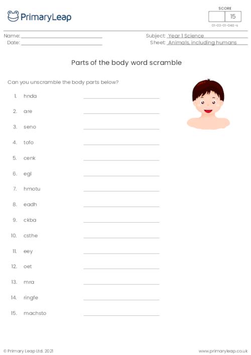 Parts of the Body - Word Unscramble