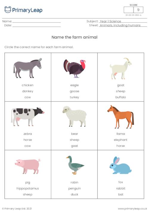 Science: Name the farm animal | Worksheet 