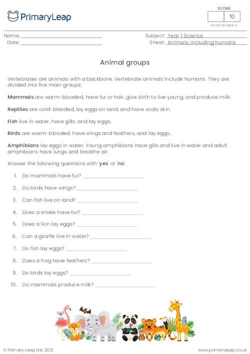 Introduction to animal groups