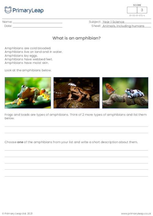 Introduction to amphibians