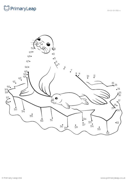 Mother seal Dot to Dot activity