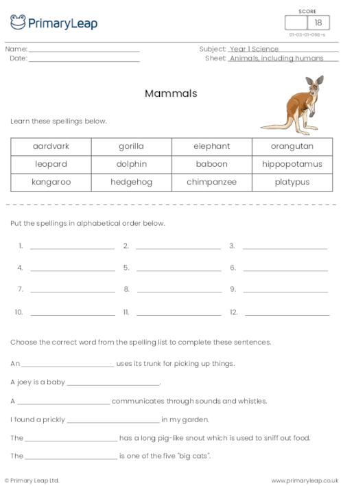 Mammals spelling activity