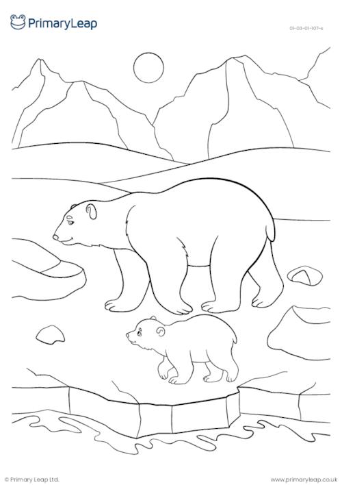 Animal colouring page - Polar bear