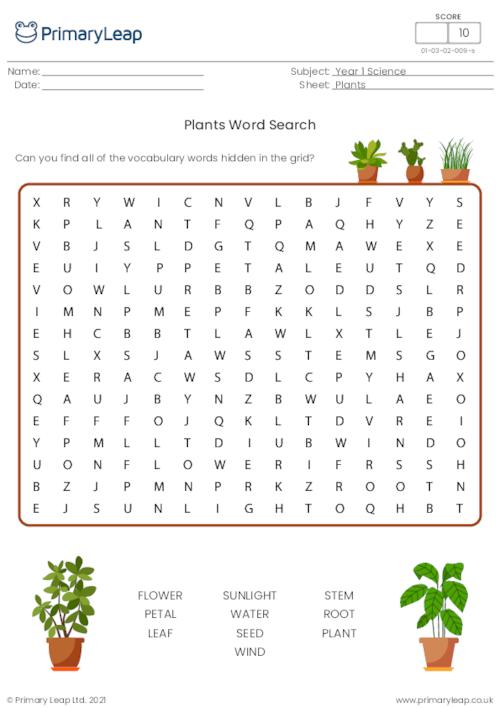 Science Plants Word Search Worksheet PrimaryLeap co uk