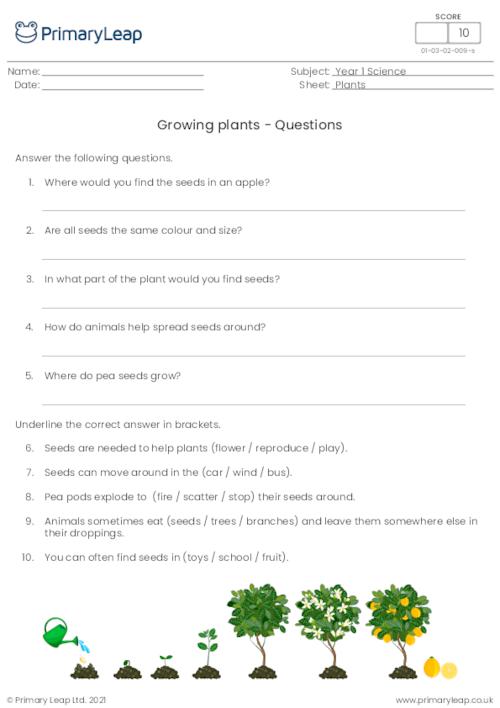 Growing plants questions