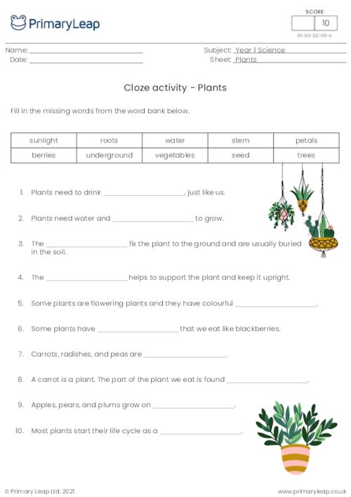 Cloze activity - Plants