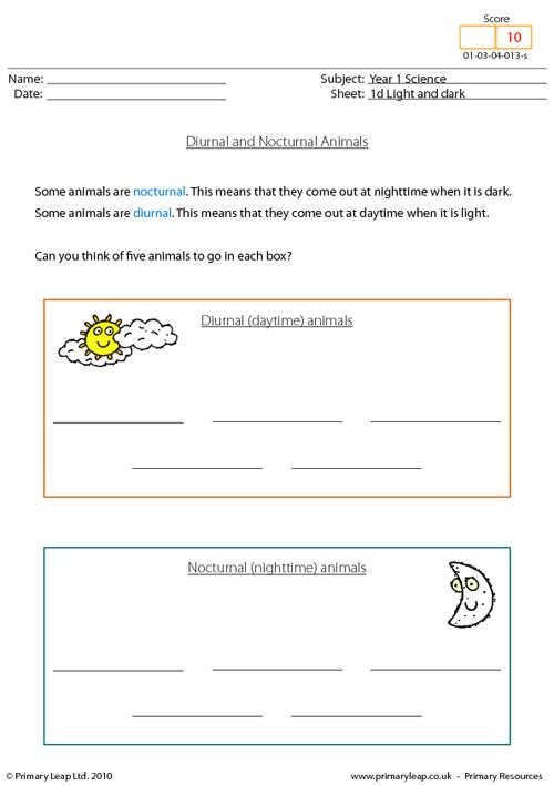 Science: Diurnal and nocturnal animals | Worksheet 