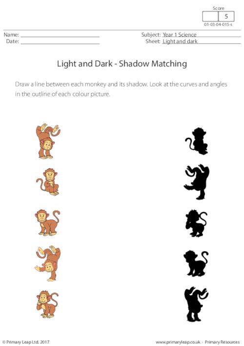Shadow Matching (Monkeys)