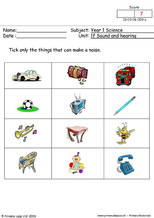 What Pet Makes The Loudest Noise Math Worksheet