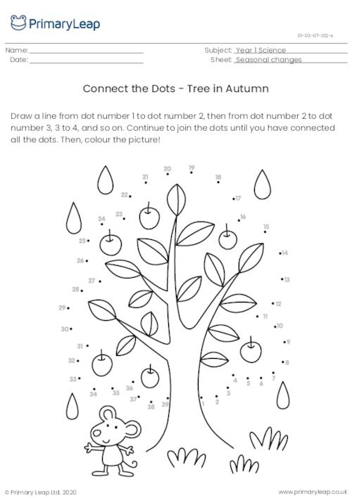 Autumn Tree Connect the Dots