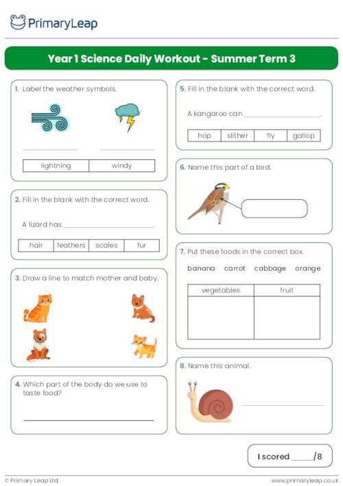 Year 1 Science Daily Workout - Summer Term 3