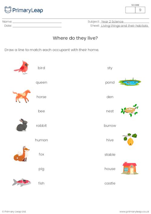 Year 1 Printable Resources Free Worksheets For Kids Primaryleapcouk Free Printable English