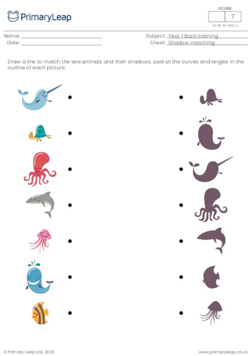 Arctic Animals Shadow Matching Worksheet for Kids