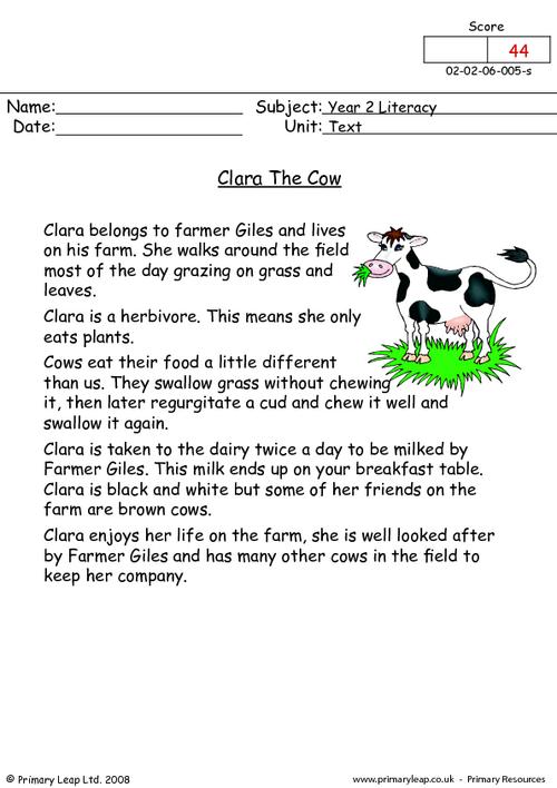 Clara the cow