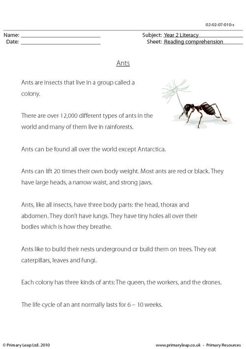 Reading comprehension - Ants (non-fiction)