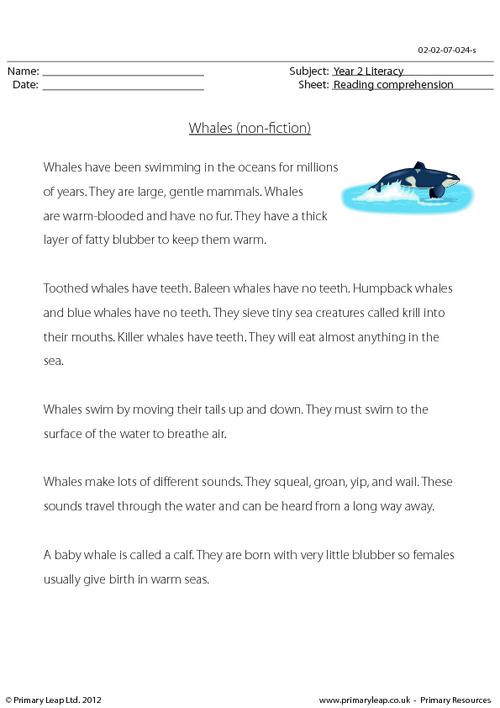 Reading comprehension - Whales (non-fiction)