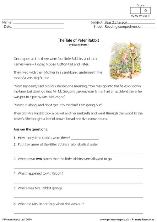Reading comprehension - The Tale of Peter Rabbit