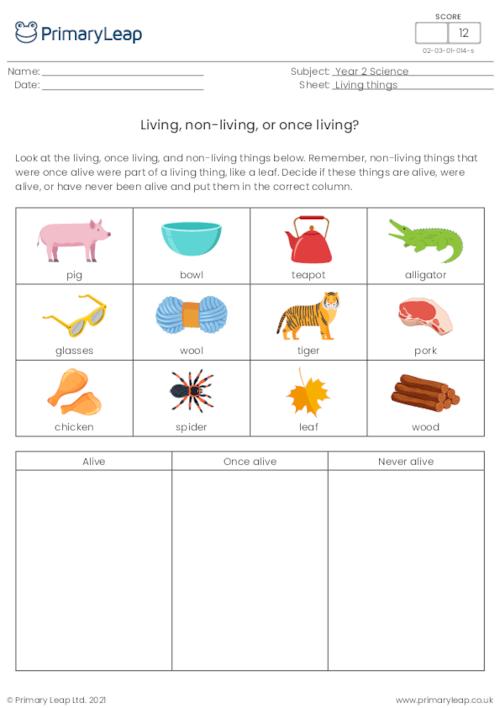 Living, non-living, or once living sorting activity