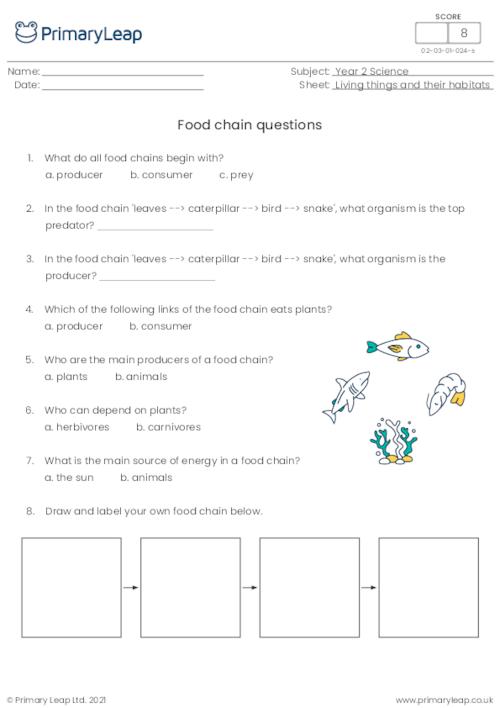 Food chain questions