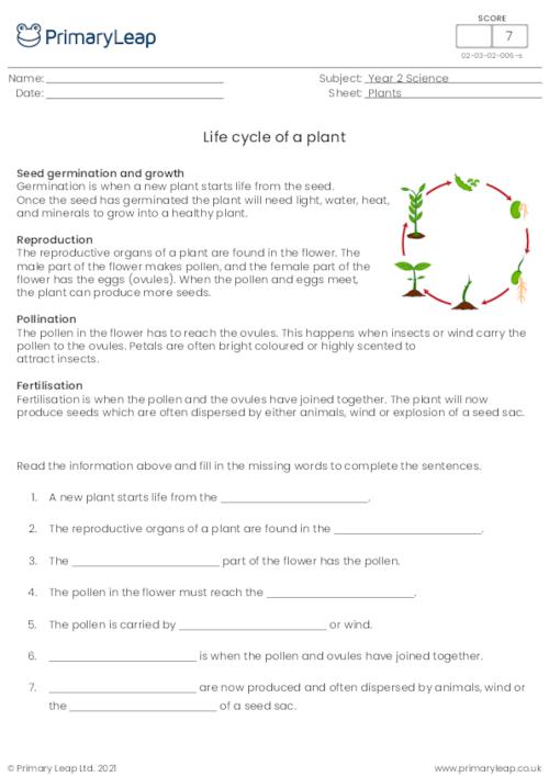 Science: Life cycle of a plant | Worksheet | PrimaryLeap.co.uk