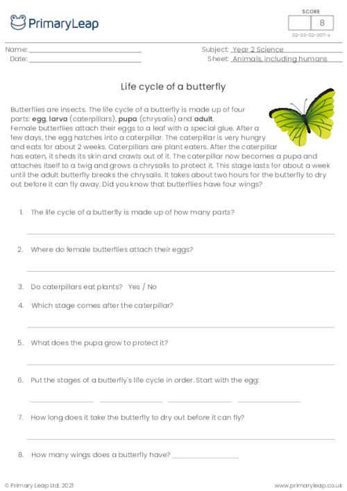printable butterfly life cycle wheel