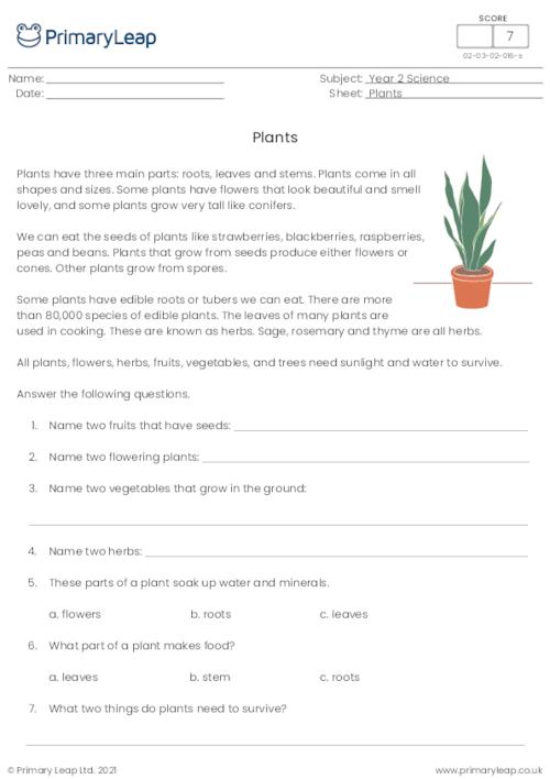 Plant questions