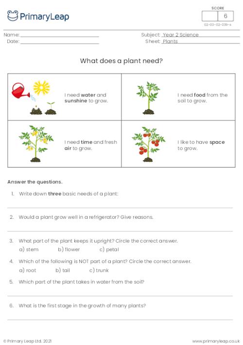 What does a plant need?