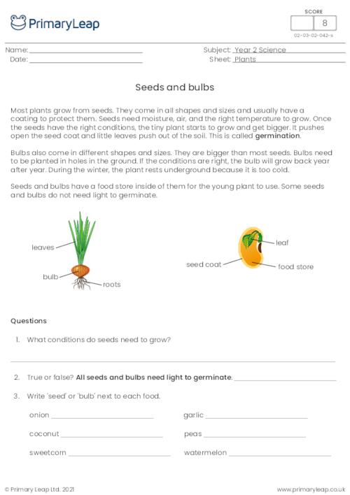 Seeds and bulbs